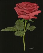 Bev's Rose