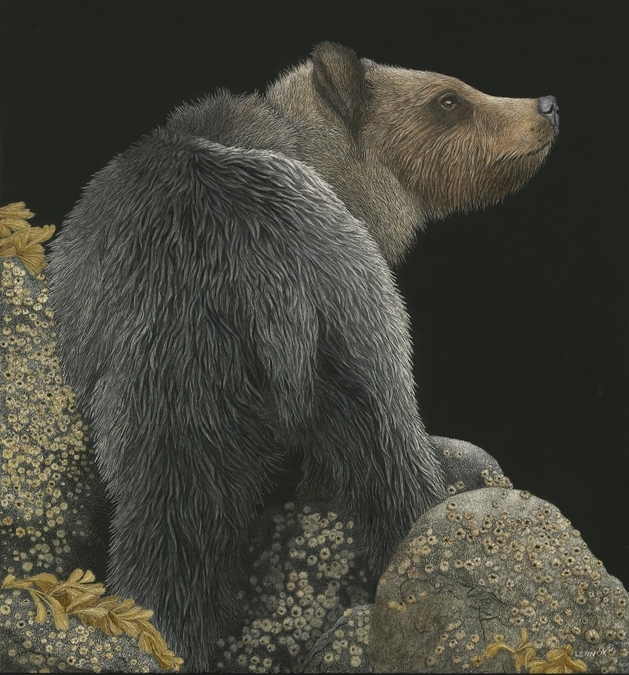 Grizzly Among Rocks